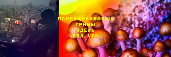 прущие грибы Анива