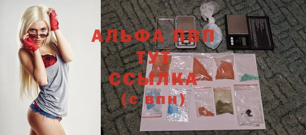 эйфоретик Богданович