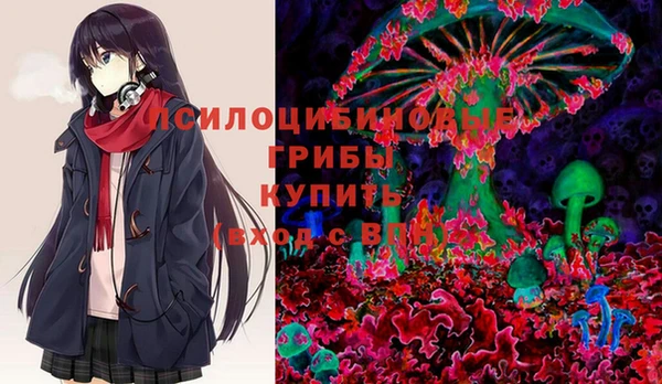 прущие крисы Медвежьегорск
