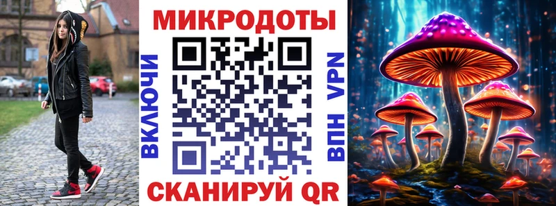 даркнет сайт Злынка Псилоцибиновые грибы прущие грибы