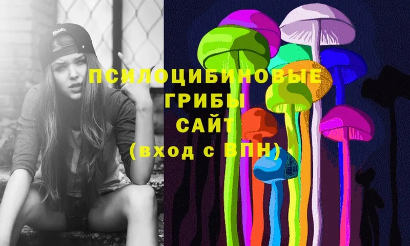 Псилоцибиновые грибы Cubensis  Злынка 