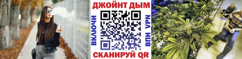 Марихуана VHQ  продажа наркотиков  Злынка 